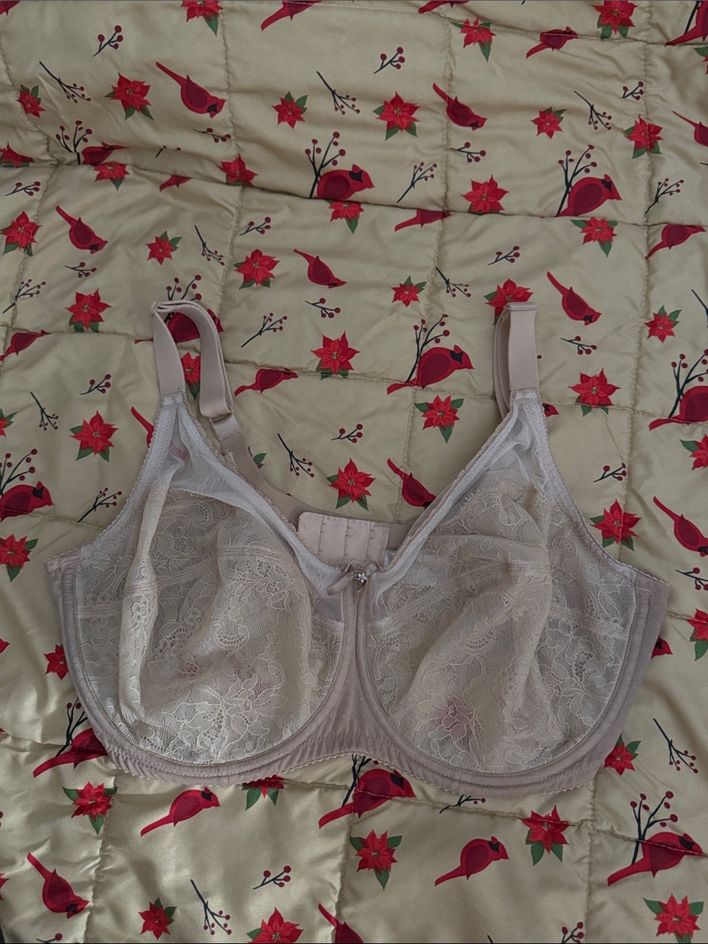 Wacoal retro bra